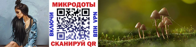 Галлюциногенные грибы мицелий  купить  цена  сайты даркнета клад  Верхняя Салда  МЕГА онион 