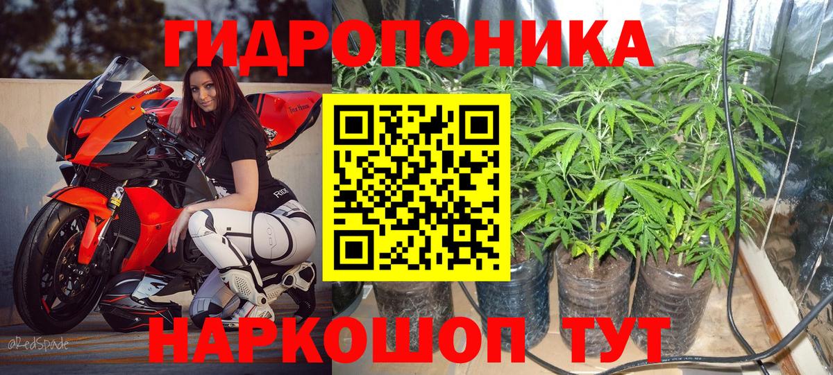 МАРИХУАНА сатива  Конопля планчик  Бошки марихуана план  Шишки марихуана White Widow  Вход с VPN  Верхняя Салда 